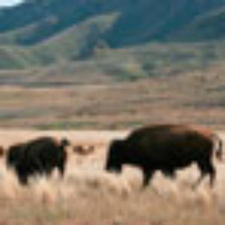 Ristorante Giapponese Milano